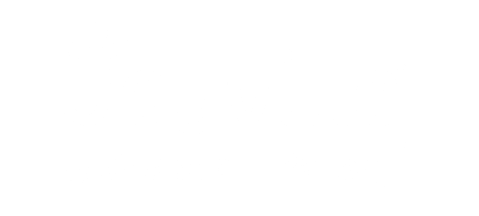 Project Logo